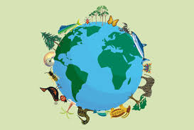 Biodiversità