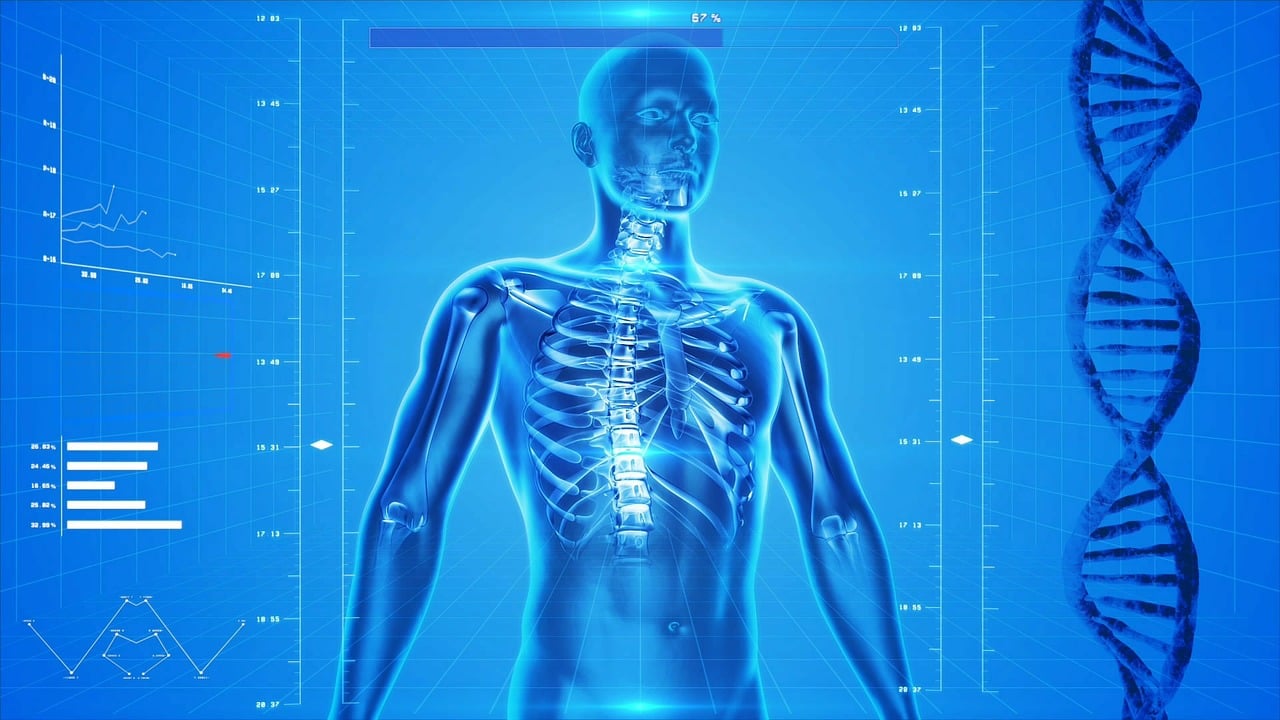 Il Corpo Umano analizzato con complessi sistemi informatici