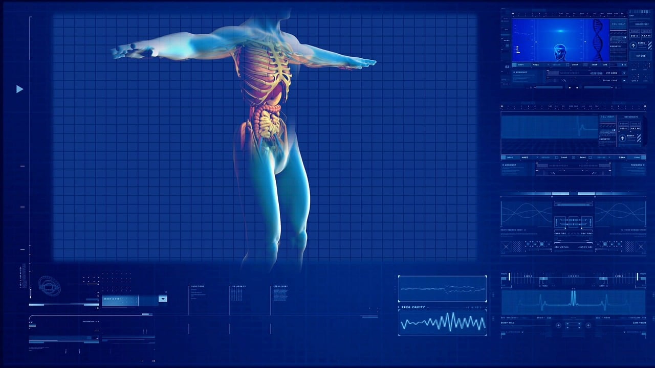 Il Corpo Umano analizzato con complessi sistemi informatici